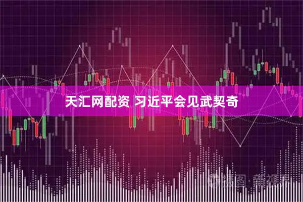 天汇网配资 习近平会见武契奇