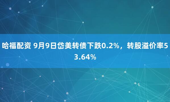 哈福配资 9月9日岱美转债下跌0.2%，转股溢价率53.64%