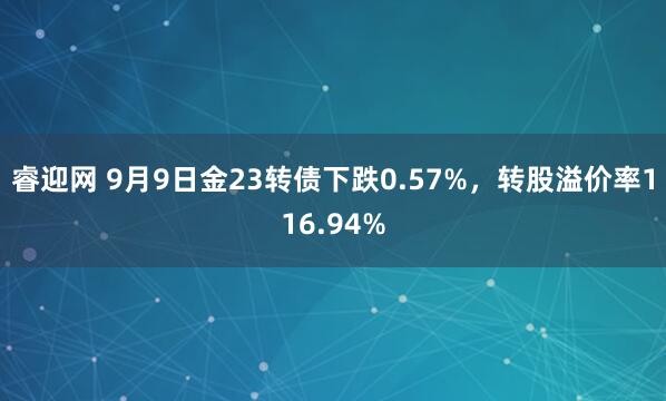 睿迎网 9月9日金23转债下跌0.57%，转股溢价率116.94%