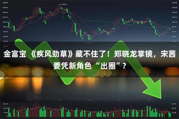 金富宝 《疾风劲草》藏不住了！郑晓龙掌镜，宋茜要凭新角色 “出圈”？